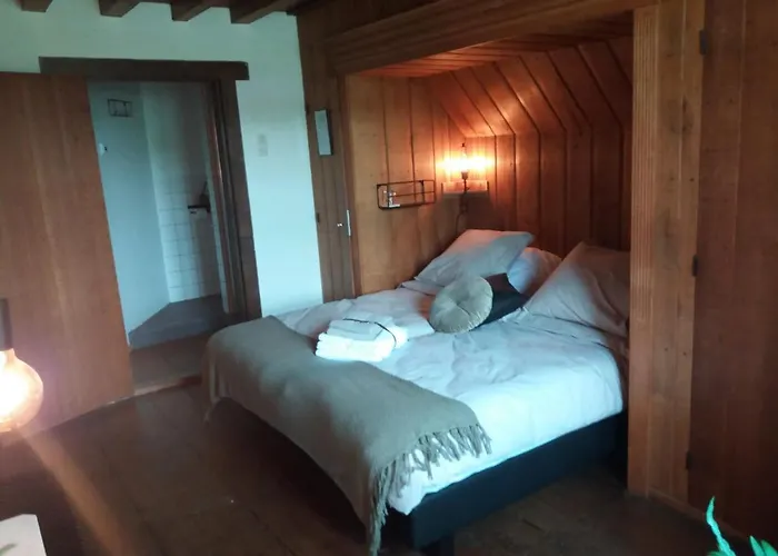 Kasteel Ammersoyen Nocleg ze śniadaniem Ammerzoden