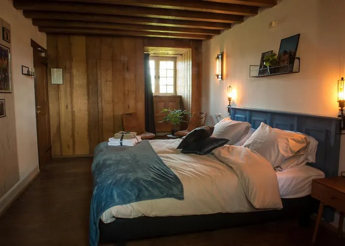 Kasteel Ammersoyen Ammerzoden